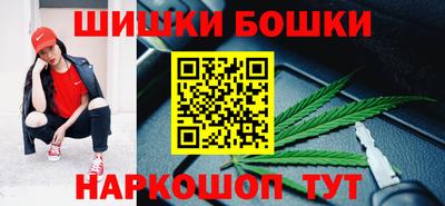 apvp Бийск