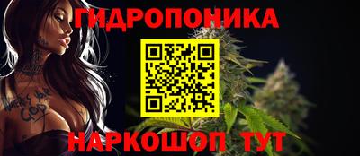 альфа пвп Берёзовский