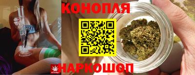 apvp Бийск