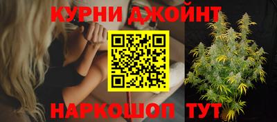 apvp Бийск