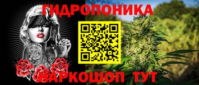 apvp Бийск