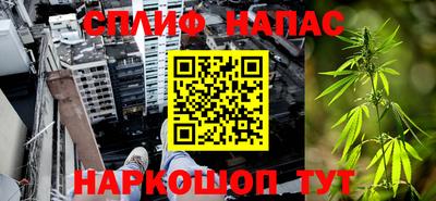 apvp Бийск
