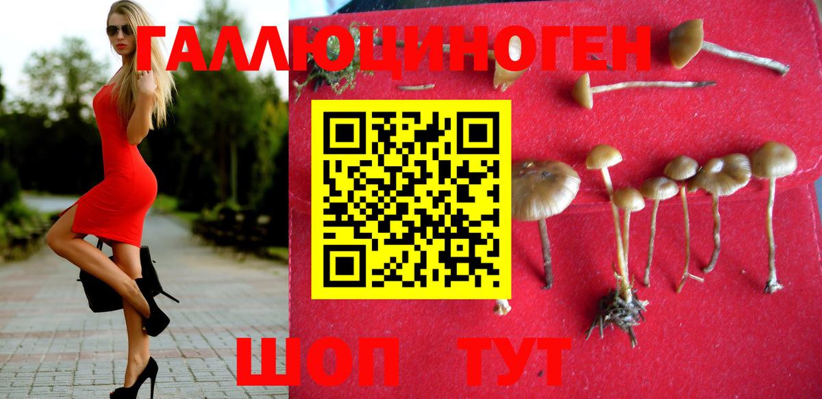 Волжск  Галлюциногенные грибы ЛСД  Вход с VPN 