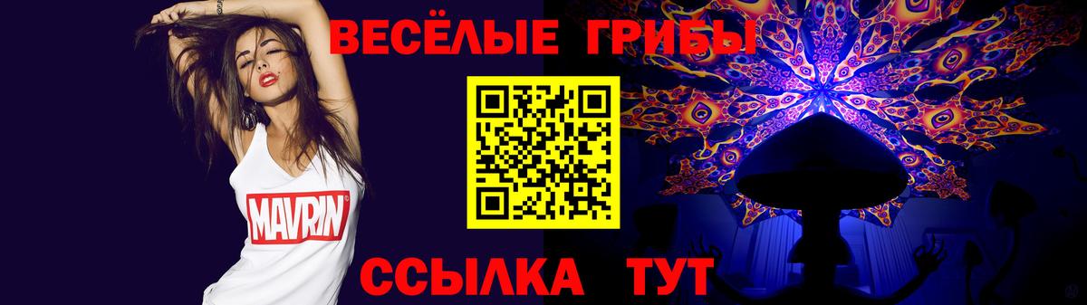 Псилоцибиновые грибы Psilocybine cubensis  Волжск 